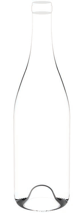 750 ml Sparkling Wine LW — Wine Bottles
